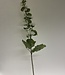 White Hollyhock | Silk artificial flower | Length 115 centimeters