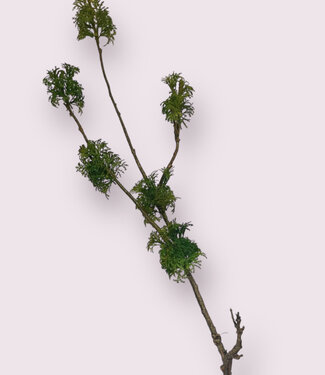 Green Branch with moss | silk artificial flower | 83 centimeters