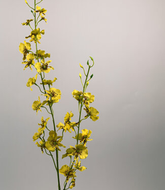 Yellow Tiger Orchid | silk artificial flower | 87 centimeters