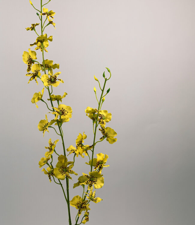 Yellow Tiger Orchid | Silk artificial flower | Length 87 centimeters