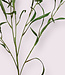 Green Weeping Willow | Silk artificial flower | Length 115 centimeters
