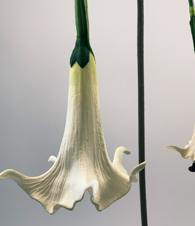 White Trumpet Flower | Silk artificial flower | Length 100 centimeters