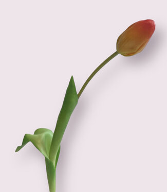 MyFlowers Orange Tulip | silk artificial flower | 35 centimeters