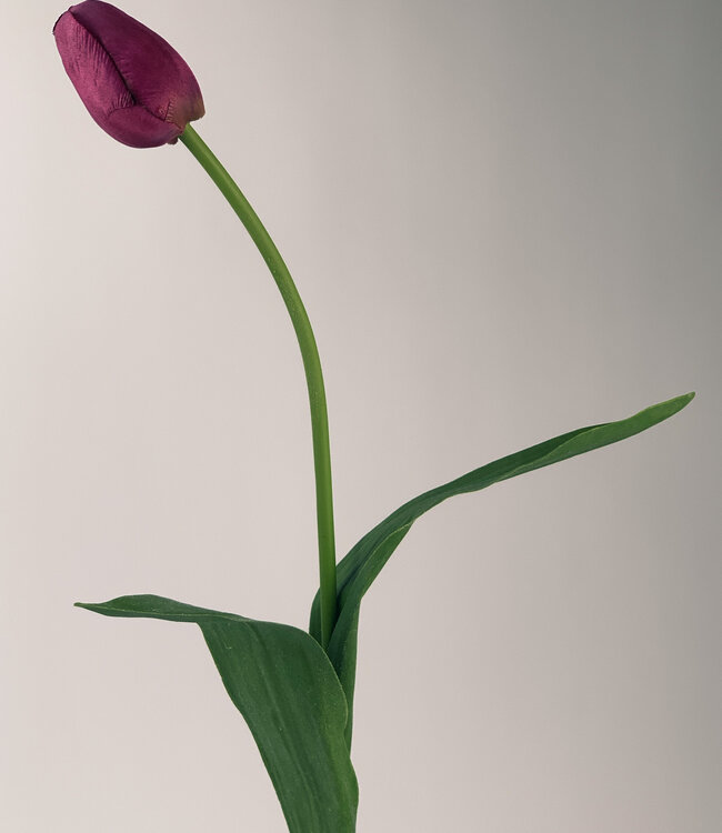 Fuchsia Tulip | Silk artificial flower | Length 60 centimeters