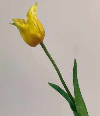 Silk Flowers by JJ Tulipe jaune | fleur artificielle en soie | 40 centimètres