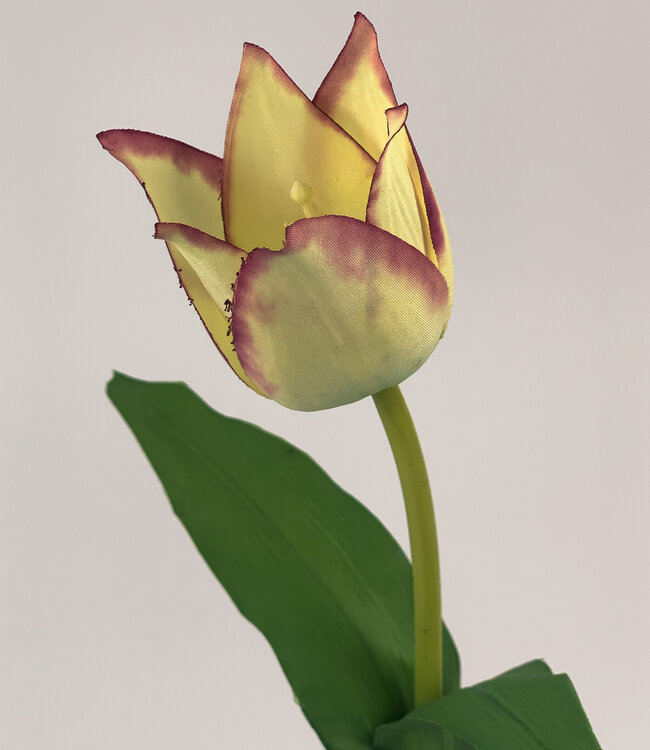 Gelbe Tulpe | Kunstblume aus Seide | Länge 42 Zentimeter