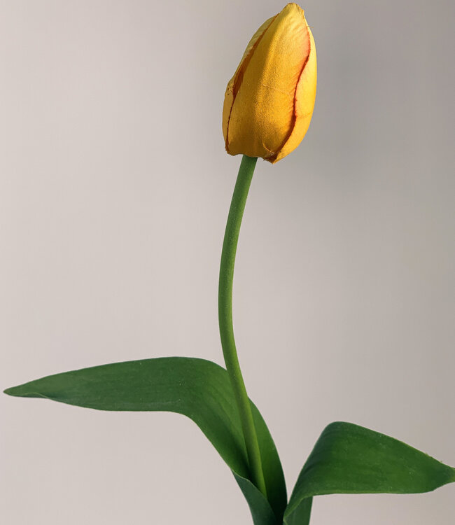 Gelbe Tulpe | Kunstblume aus Seide | Länge 60 Zentimeter