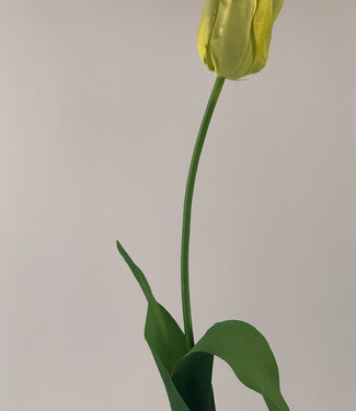 Gelbe Tulpe | Kunstblume aus Seide | 68 Zentimeter