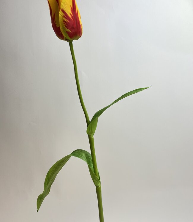 Geelrode Tulp | Zijden kunstbloem | Lengte 65 centimeter