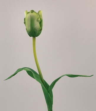 Grüne Tulpe | Kunstblume aus Seide | 48 Zentimeter