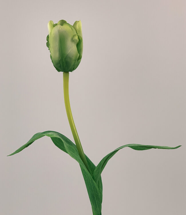Grüne Tulpe | Kunstblume aus Seide | Länge 48 Zentimeter