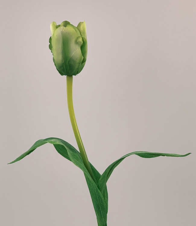 Tulipe verte | Fleur artificielle en soie | Longueur 48 centimètres