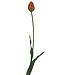 Oranje Tulp | Zijden kunstbloem | Lengte 66 centimeter