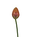 Oranje Tulp | Zijden kunstbloem | Lengte 66 centimeter