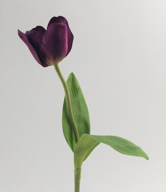 MyFlowers Paarse Tulp | zijden kunstbloem | 40 centimeter
