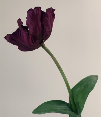 Silk Flowers by JJ Paarse Tulp | zijden kunstbloem | 45 centimeter