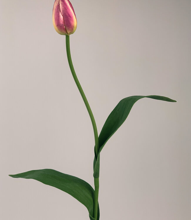 Rosa Tulpe | Kunstblume aus Seide | Länge 60 Zentimeter