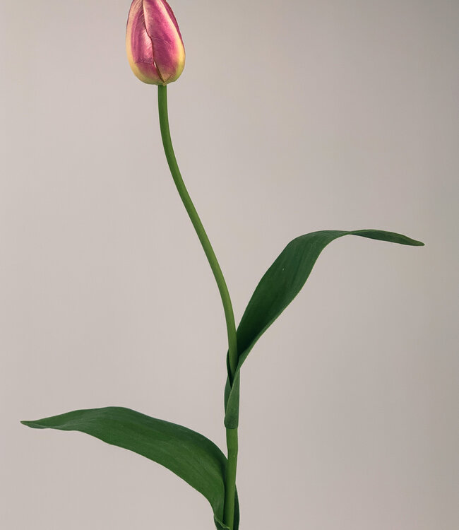 Tulipe rose | Fleur artificielle en soie | Longueur 60 centimètres