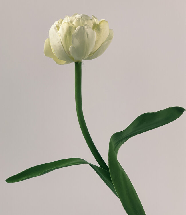 Weiße Tulpe | Kunstblume aus Seide | Länge 40 Zentimeter