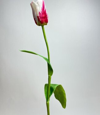 Fuchsia weiße Tulpe | Kunstblume aus Seide | 65 Zentimeter