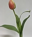 Pink Tulip Ballade | Kunstblume aus Seide | Länge 38 Zentimeter