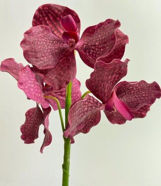MyFlowers Pink Vanda | silk artificial flower | 25 centimeters