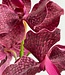 Rosa Vanda | Kunstblume aus Seide | Länge 25 Zentimeter