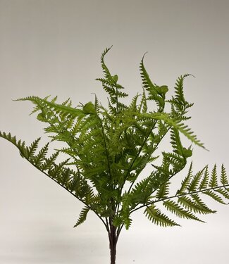 MyFlowers Green Fern Branch | silk artificial flower | 42 centimeters