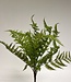 Grüner Farnzweig | Kunstblume aus Seide | Länge 42 Zentimeter