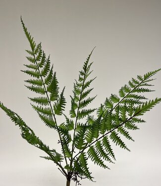 Green Fern Branch | silk artificial flower | 45 centimeters