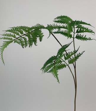 MyFlowers Green Fern Branch | silk artificial flower | 85 centimeters