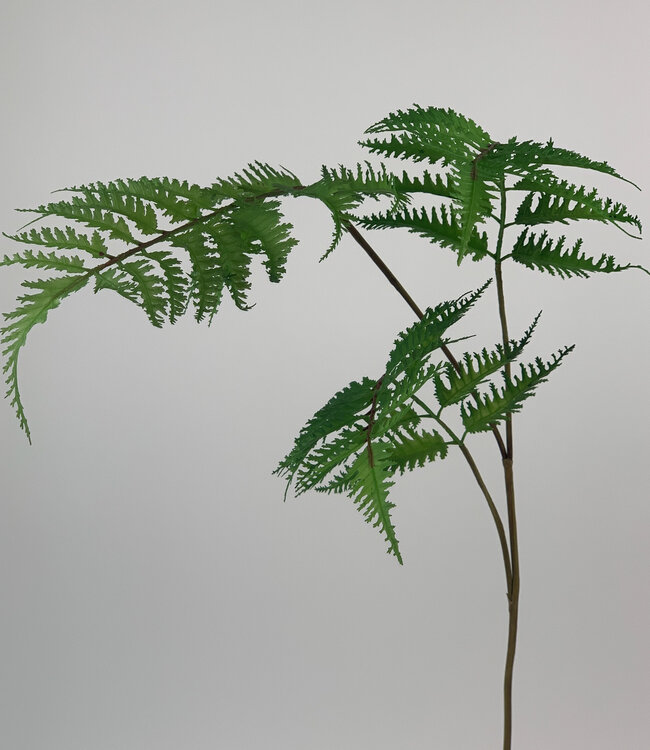 Green Fern Branch | Silk artificial flower | Length 85 centimeters