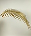 Gold-colored Fern Leaf | Silk artificial flower | Length 107 centimeters