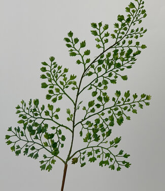 Grünes Farnblatt | Kunstblume aus Seide | 58 Zentimeter