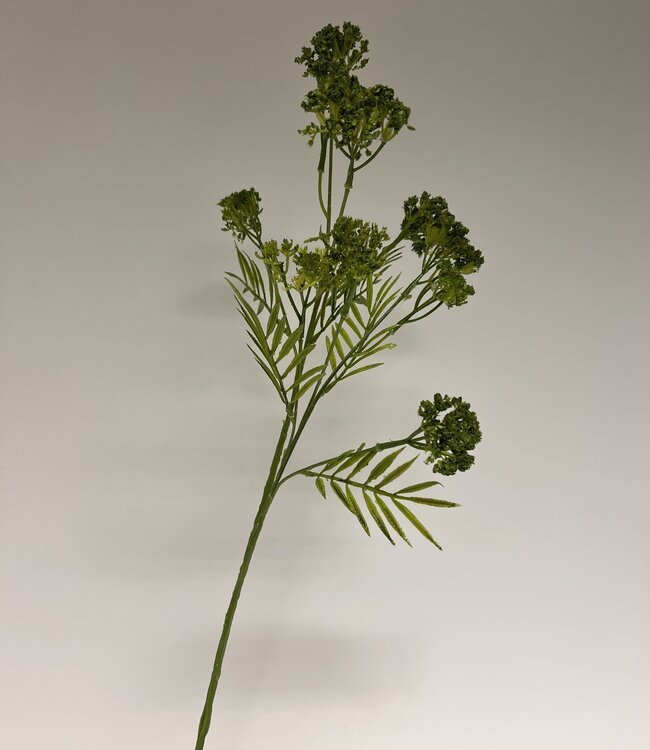 Green Fennel | Silk artificial flower | Length 74 centimeters