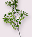 Grüne Venushaare | Kunstblume aus Seide | Länge 93 Zentimeter