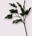 Groene Vijgenblad | Zijden kunstbloem | Lengte 65 centimeter