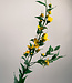 MyFlowers Bec de lin jaune | fleur artificielle en soie | 90 centimètres