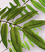 Groene Vlierblad | Zijden kunstbloem | Lengte 115 centimeter