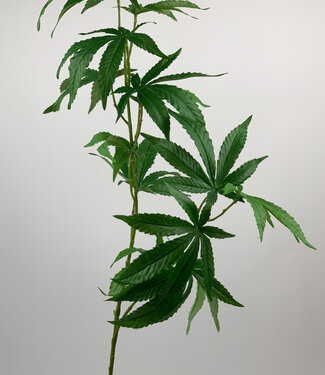 MyFlowers Grünes Cannabisblatt | Kunstblume aus Seide | 97 Zentimeter