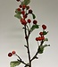 Rode Wilde Appeltak | Zijden kunstbloem | Lengte 78 centimeter