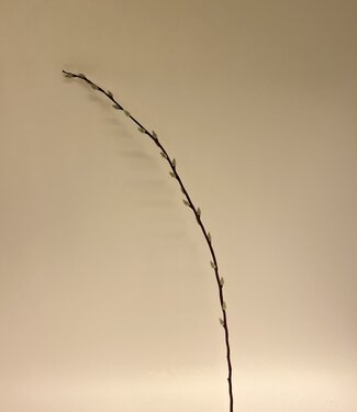 Brown Willow Branch | silk artificial flower | 100 centimeters