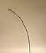 Brauner Weidenzweig | Kunstblume aus Seide | Länge 100 Zentimeter