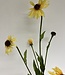 Gele Zonnehoed | Zijden kunstbloem | Lengte 80 centimeter