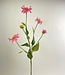 Roze Zonnehoed | Zijden kunstbloem | Lengte 83 centimeter