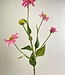 Roze Zonnehoed | Zijden kunstbloem | Lengte 83 centimeter