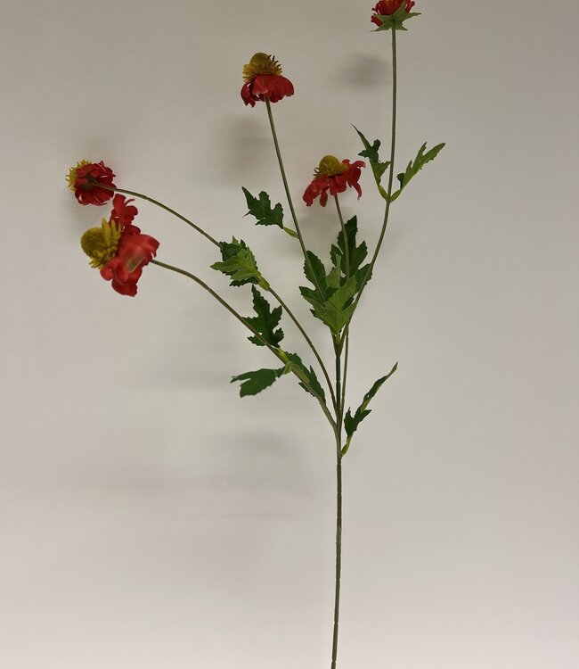 Rode Zonnekruid | Zijden kunstbloem | Lengte 75 centimeter