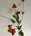 Red Sunflower | Silk artificial flower | Length 75 centimeters
