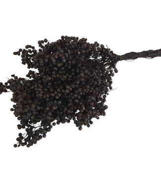 Dried bundle of pepper berries 35cm black