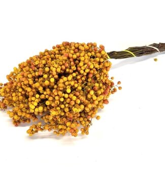 MyFlowers Dried pepper berries yellow